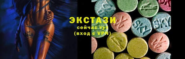 СК Пересвет