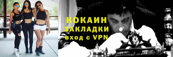 бошки Осинники
