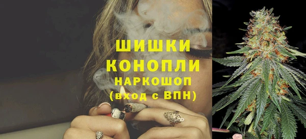 СК Пересвет