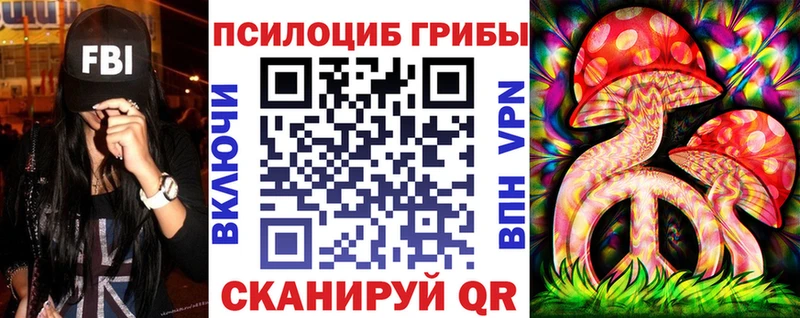 Псилоцибиновые грибы Cubensis  Губаха 