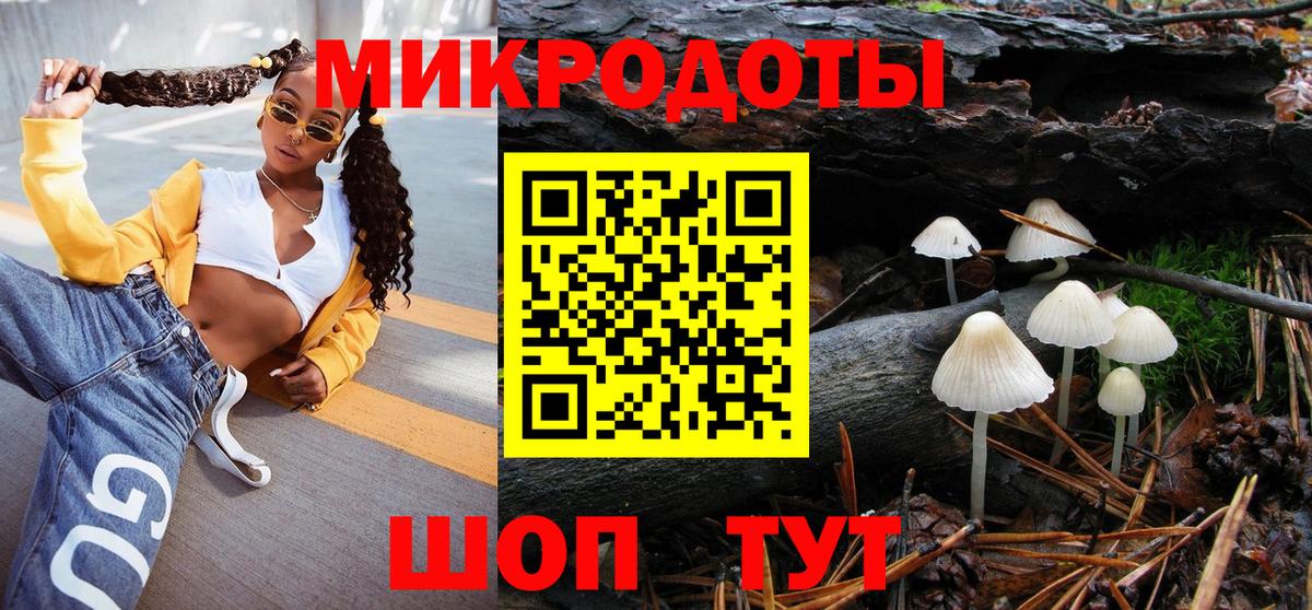 Губаха  Псилоцибиновые грибы прущие грибы  Вход с VPN 