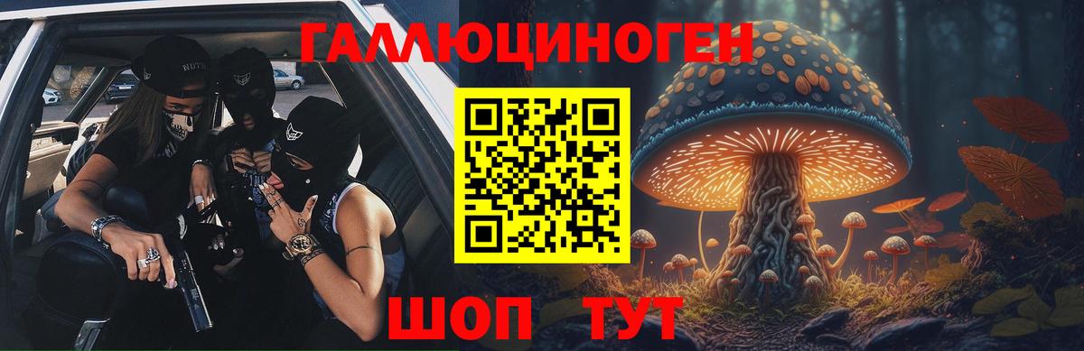 Галлюциногенные грибы мицелий Губаха